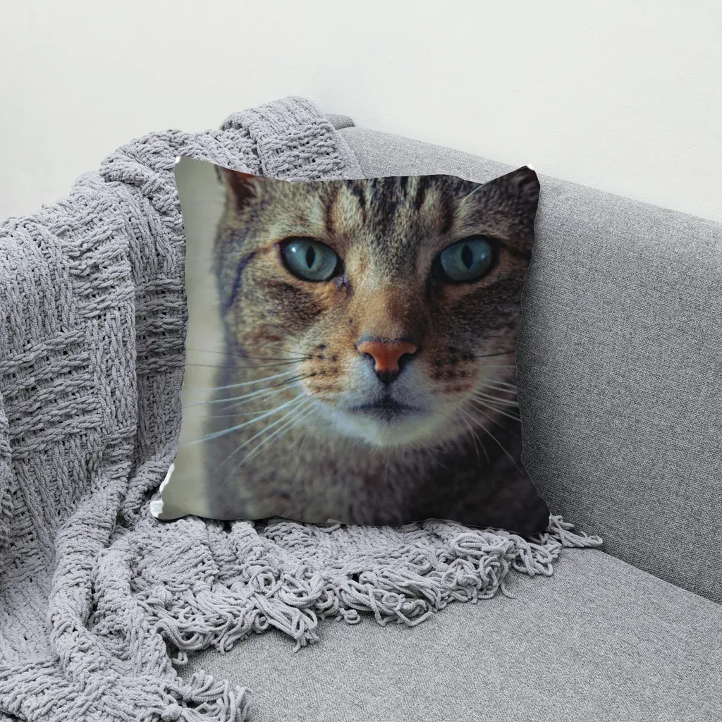 MockupPress render: cat face design on a throw pillow with natural folds